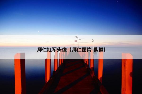 拜仁红军头像（拜仁图片 队徽）
