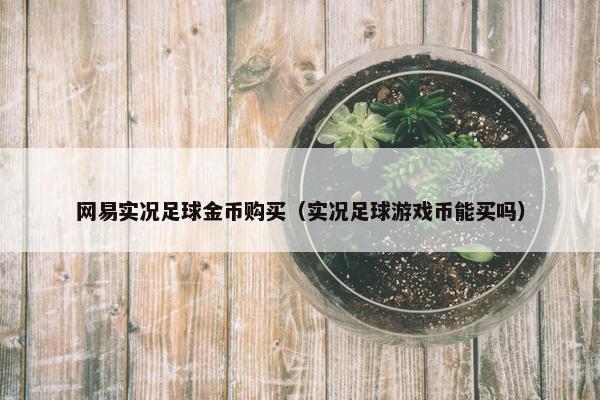 网易实况足球金币购买（实况足球游戏币能买吗）