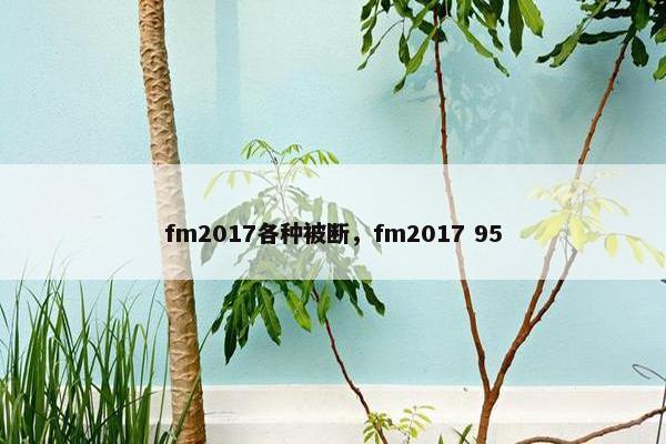 fm2017各种被断，fm2017 95