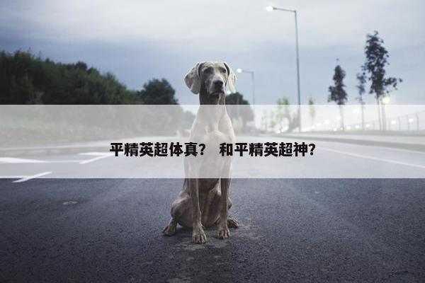 平精英超体真？ 和平精英超神？