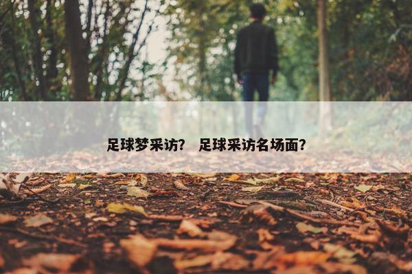 足球梦采访？ 足球采访名场面？
