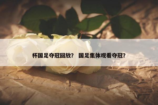 杯国足夺冠回放？ 国足集体观看夺冠？