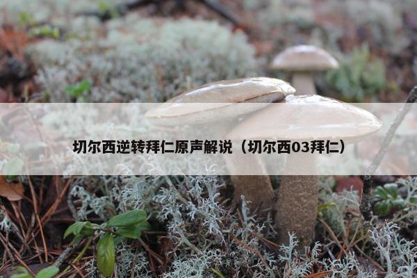 切尔西逆转拜仁原声解说（切尔西03拜仁）