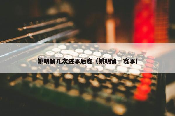姚明第几次进季后赛（姚明第一赛季）