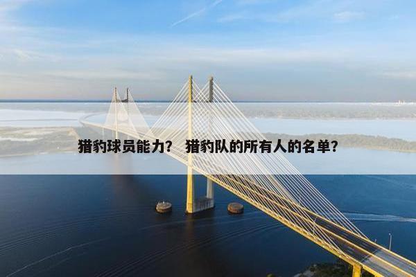 猎豹球员能力？ 猎豹队的所有人的名单？