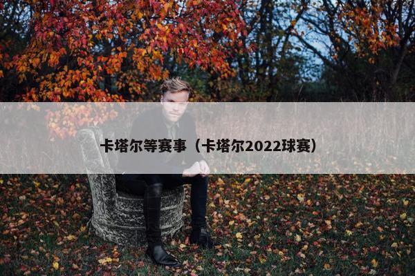 卡塔尔等赛事（卡塔尔2022球赛）