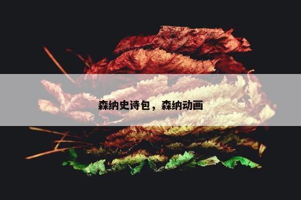 森纳史诗包，森纳动画
