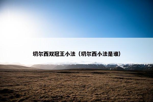 切尔西双冠王小法（切尔西小法是谁）