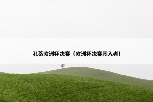 孔蒂欧洲杯决赛（欧洲杯决赛闯入者）