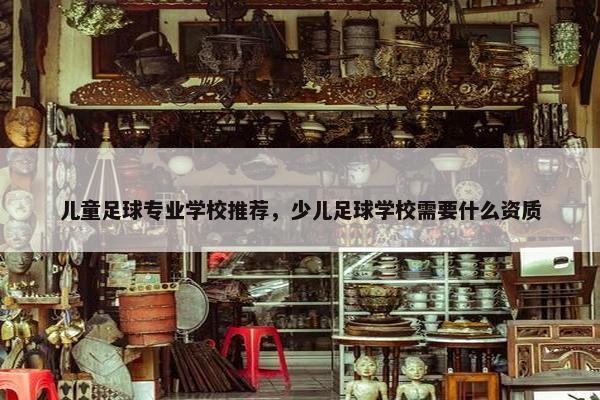 儿童足球专业学校推荐，少儿足球学校需要什么资质