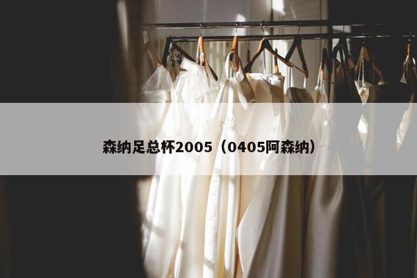森纳足总杯2005（0405阿森纳）