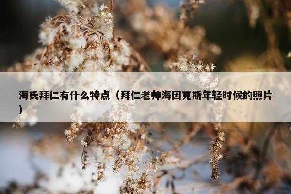 海氏拜仁有什么特点（拜仁老帅海因克斯年轻时候的照片）