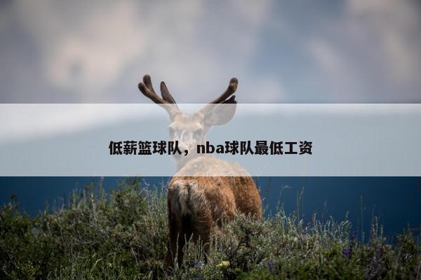低薪篮球队，nba球队最低工资