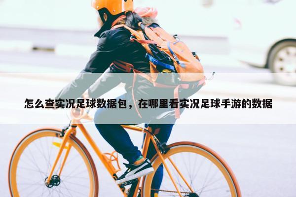 怎么查实况足球数据包，在哪里看实况足球手游的数据
