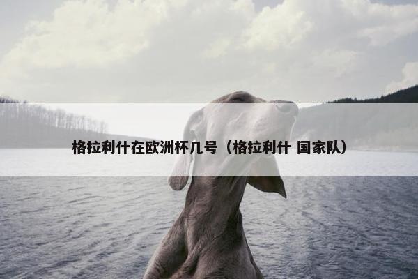 格拉利什在欧洲杯几号（格拉利什 国家队）