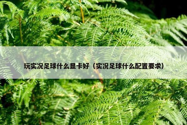 玩实况足球什么显卡好（实况足球什么配置要求）