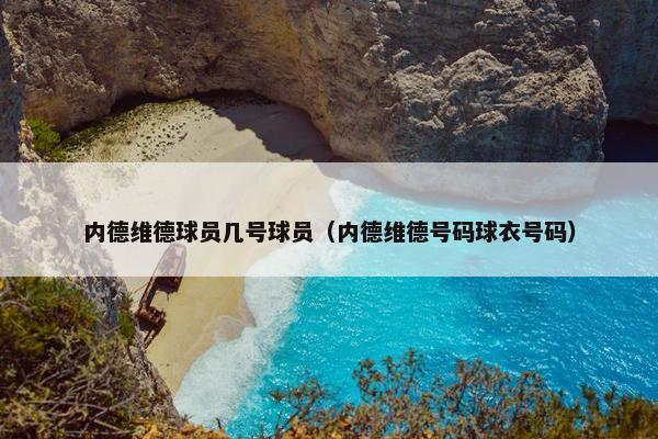 内德维德球员几号球员（内德维德号码球衣号码）