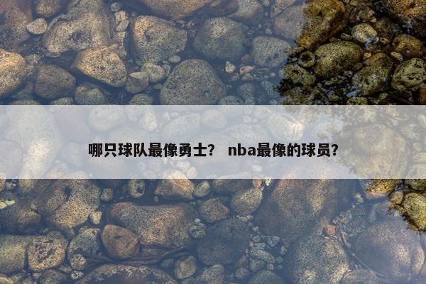 哪只球队最像勇士？ nba最像的球员？