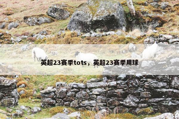 英超23赛季tots，英超23赛季用球