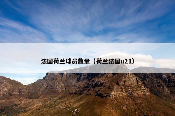 法国荷兰球员数量（荷兰法国u21）