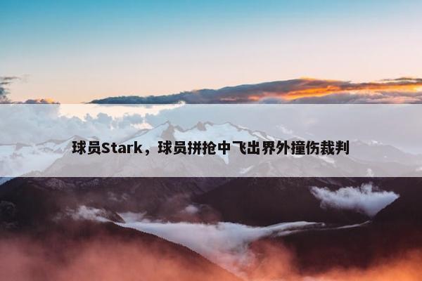 球员Stark，球员拼抢中飞出界外撞伤裁判