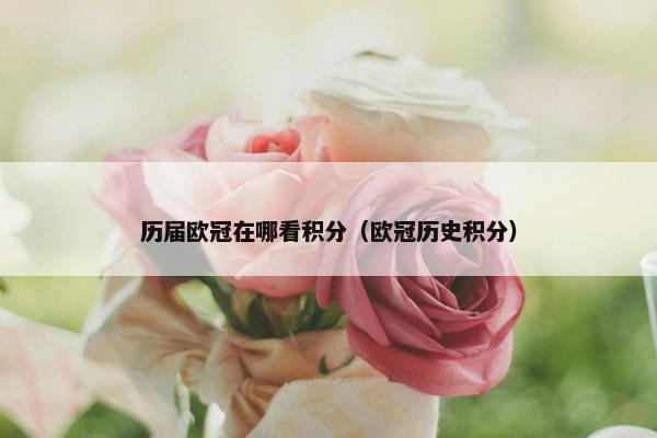 历届欧冠在哪看积分（欧冠历史积分）