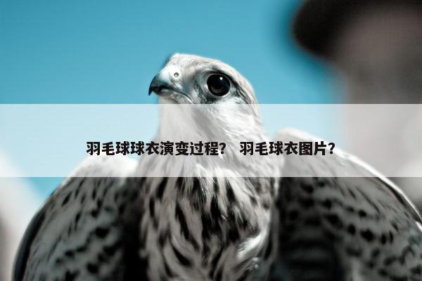 羽毛球球衣演变过程？ 羽毛球衣图片？