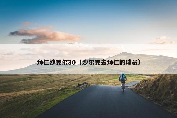 拜仁沙克尔30（沙尔克去拜仁的球员）