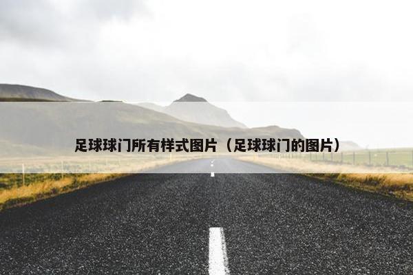 足球球门所有样式图片（足球球门的图片）