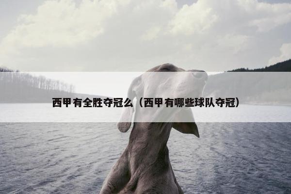 西甲有全胜夺冠么（西甲有哪些球队夺冠）