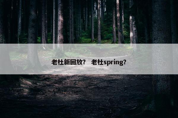 老杜新回放？ 老杜spring？