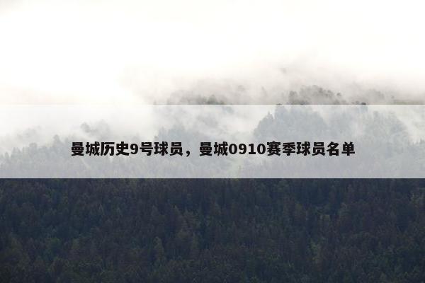 曼城历史9号球员，曼城0910赛季球员名单