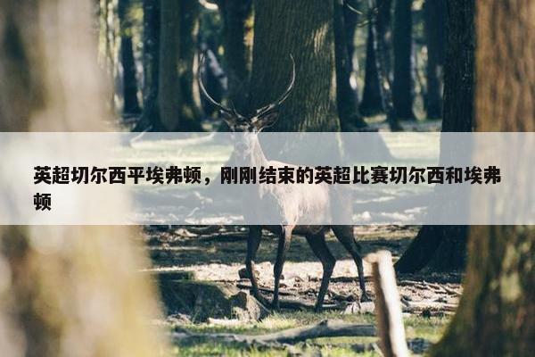 英超切尔西平埃弗顿，刚刚结束的英超比赛切尔西和埃弗顿
