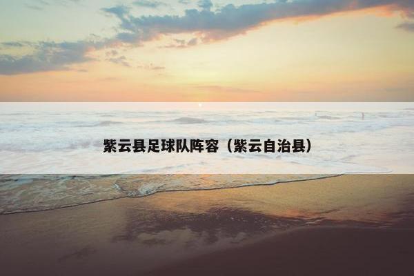 紫云县足球队阵容（紫云自治县）