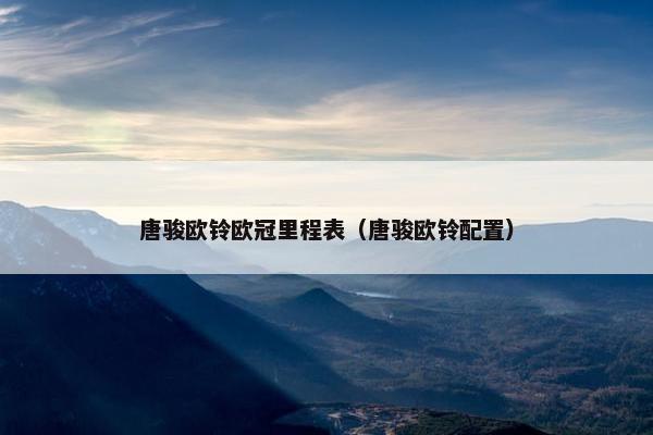 唐骏欧铃欧冠里程表（唐骏欧铃配置）