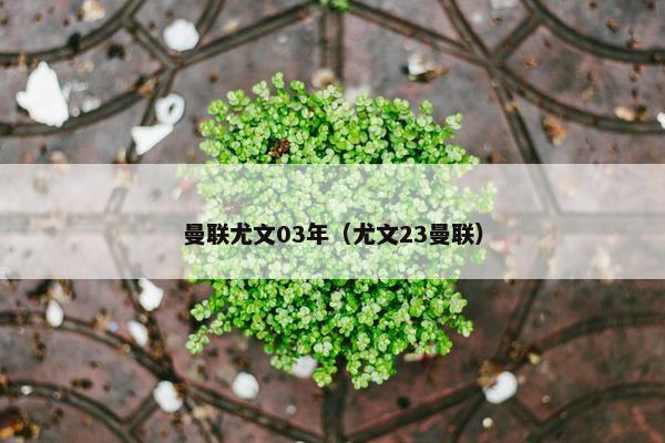 曼联尤文03年（尤文23曼联）