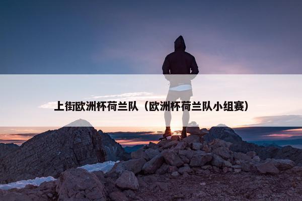 上街欧洲杯荷兰队（欧洲杯荷兰队小组赛）
