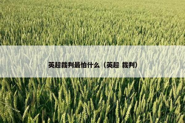 英超裁判最怕什么（英超 裁判）