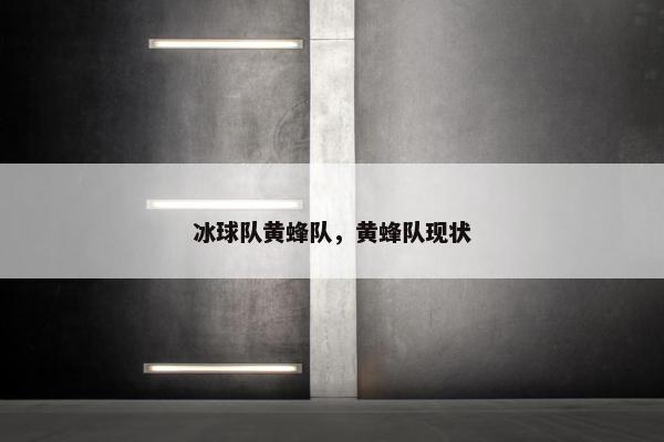 冰球队黄蜂队，黄蜂队现状