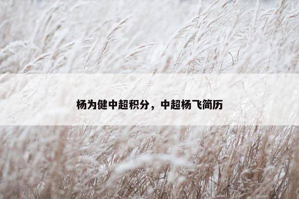 杨为健中超积分，中超杨飞简历