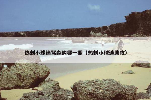热刺小球迷骂森纳哪一期（热刺小球迷助攻）