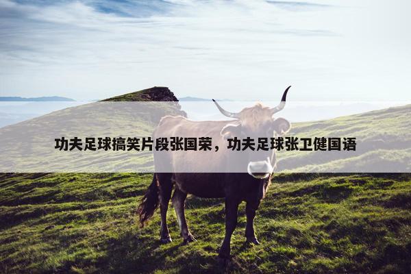 功夫足球搞笑片段张国荣，功夫足球张卫健国语