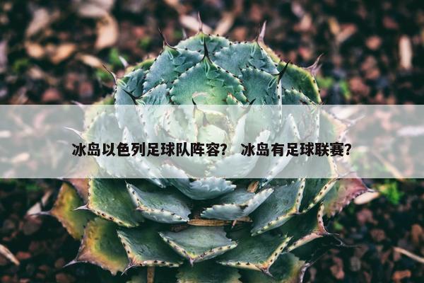 冰岛以色列足球队阵容？ 冰岛有足球联赛？