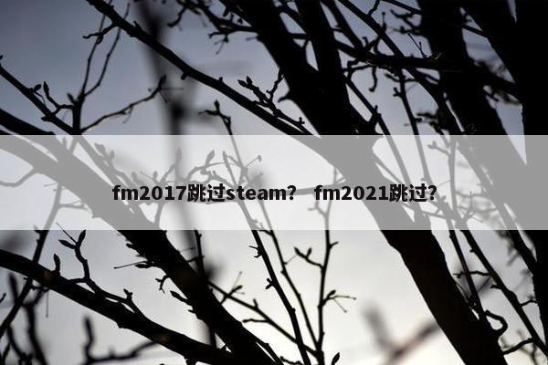 fm2017跳过steam？ fm2021跳过？