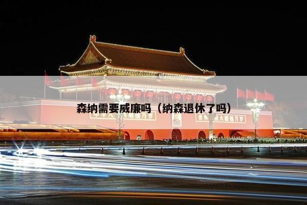 森纳需要威廉吗（纳森退休了吗）