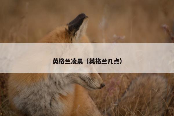 英格兰凌晨（英格兰几点）