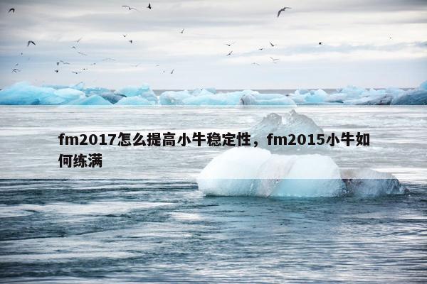 fm2017怎么提高小牛稳定性，fm2015小牛如何练满
