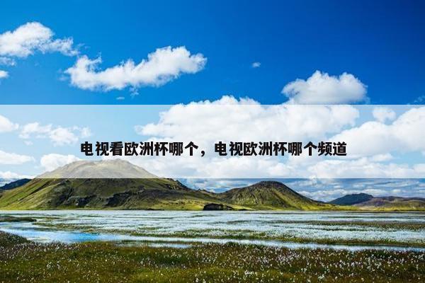 电视看欧洲杯哪个，电视欧洲杯哪个频道
