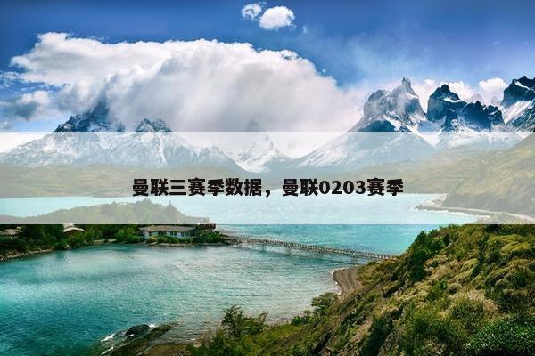 曼联三赛季数据，曼联0203赛季