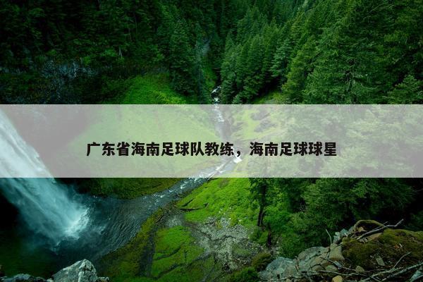 广东省海南足球队教练，海南足球球星